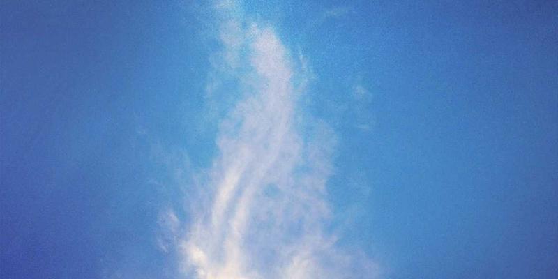 KIT Company如何通过敏捷组织转型提升运营效率与战略执行力