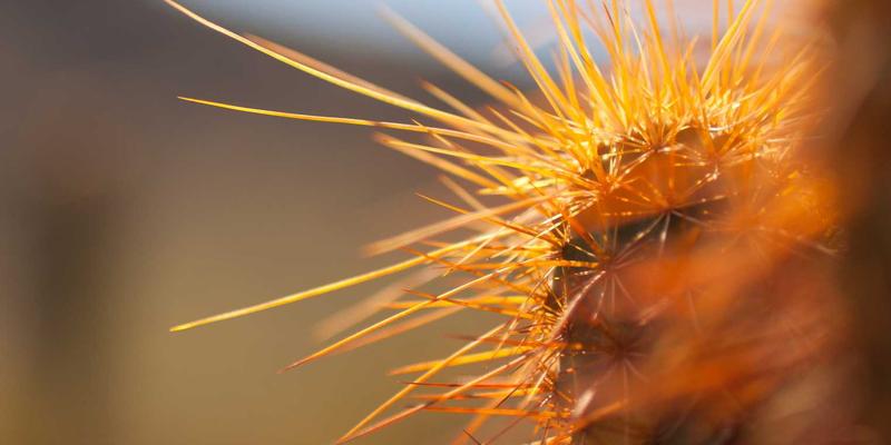 KIT Company战略解码：科学设计员工绩效评估体系与激励措施