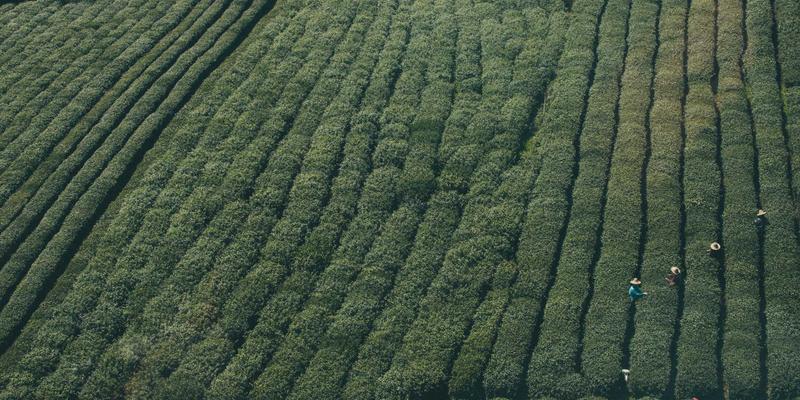 从战略到执行：现代企业管理的核心演进与效率革命