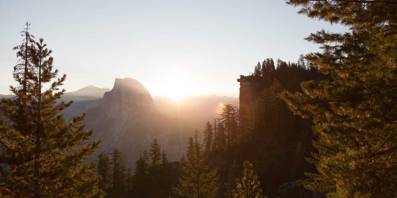 企业战略与业务管理：驱动可持续增长的三大核心支柱