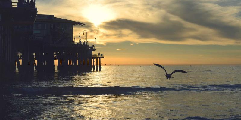 商业模式画布：系统化设计与验证新业务模式，提升运营效率与咨询服务质量