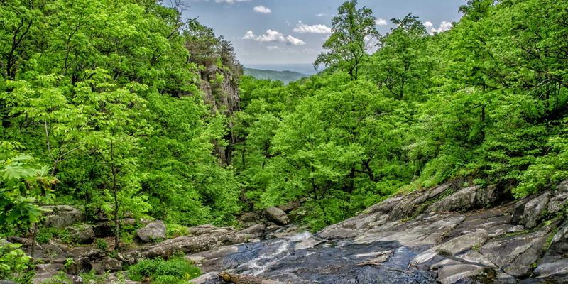 战略咨询如何驱动企业增长：解锁商业管理的核心引擎