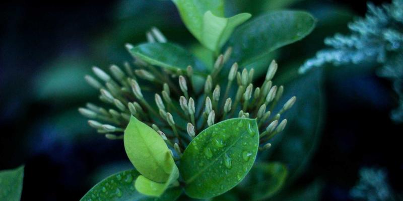 提升运营效率：咨询如何赋能企业战略落地与持续增长