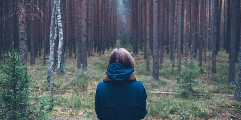 数据驱动决策文化：KIT Company如何通过商业智能提升运营效率与赋能管理者