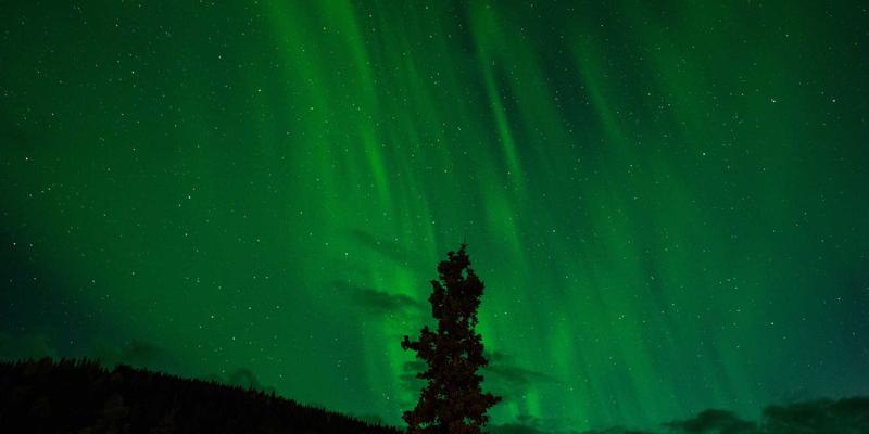 整合OKR与KPI：提升运营效率与战略执行力的咨询服务新范式