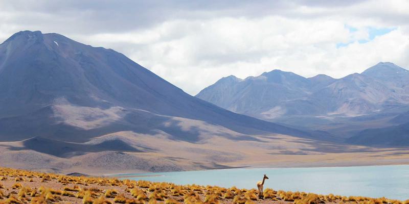 构建企业风险管理框架：战略咨询如何驱动业务增长与卓越管理
