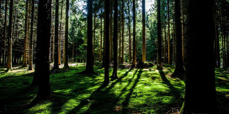 构建供应链韧性：KIT Company咨询如何赋能企业打造抗风险与可持续的供应网络