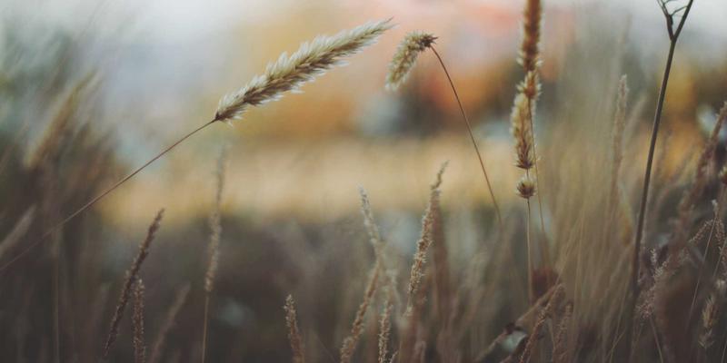 构建智能企业治理与风险管理框架：提升运营效率与战略决策稳健性的关键