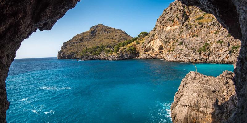 构建智能知识管理系统：提升企业运营效率与隐性知识传承的实战指南