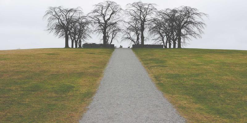 超越工厂：精益管理原则如何重塑非制造业的运营效率与业务管理