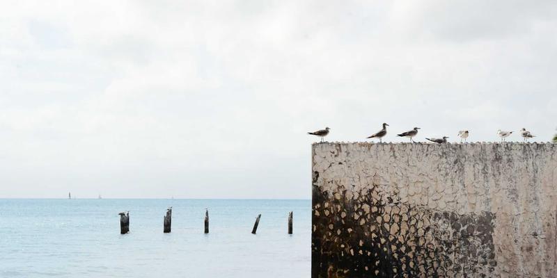 运营效率：驱动企业可持续增长的隐形引擎