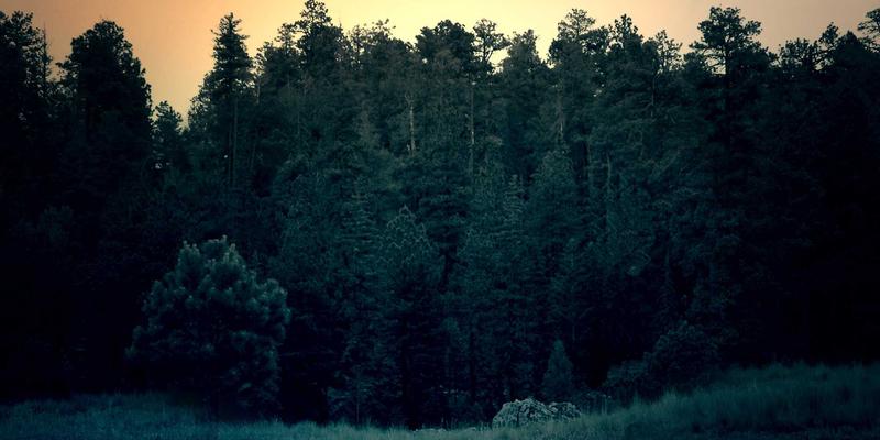 驾驭商业增长：战略规划与专业咨询如何驱动企业持续成功