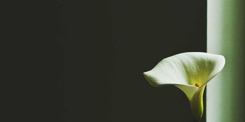 驾驭未来：企业战略与运营效率如何塑造商业管理新前景——以KIT公司为例